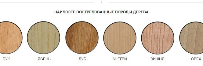 Твердые и мягкие породы дерева: различия и особенности применения