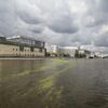 В Москве разработали плавучие модули для сокращения распространения сине-зеленых водорослей